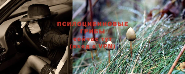 СК Верхнеуральск
