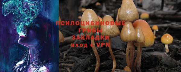 а пвп мука Верея