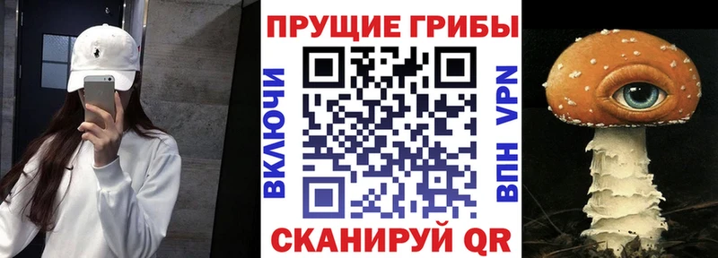 Псилоцибиновые грибы мицелий магазин наркотиков ОМГ ОМГ ссылки Курск